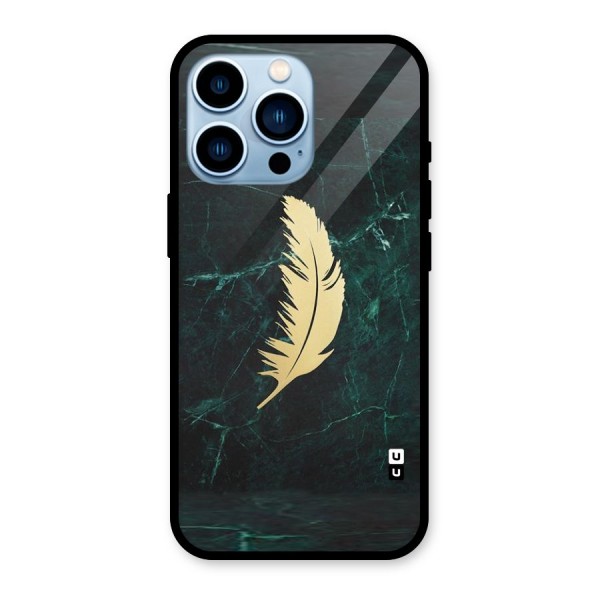 Golden Feather Glass Back Case for iPhone 13 Pro