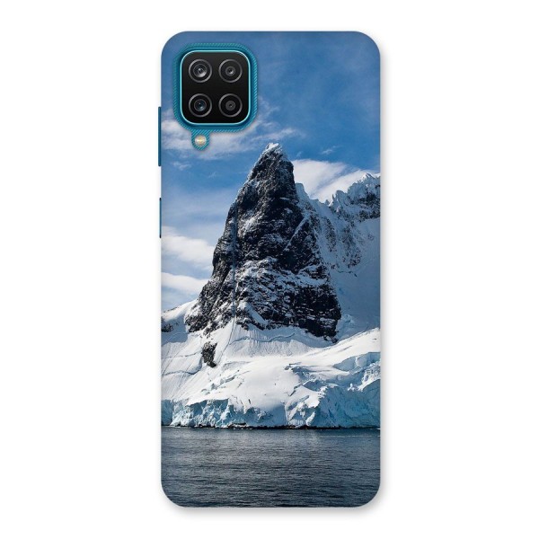 Ice Mountains Back Case for Galaxy F12