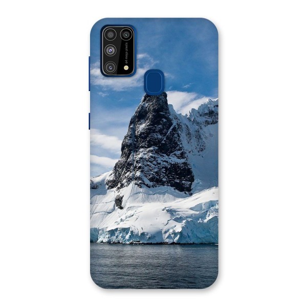 Ice Mountains Back Case for Galaxy F41