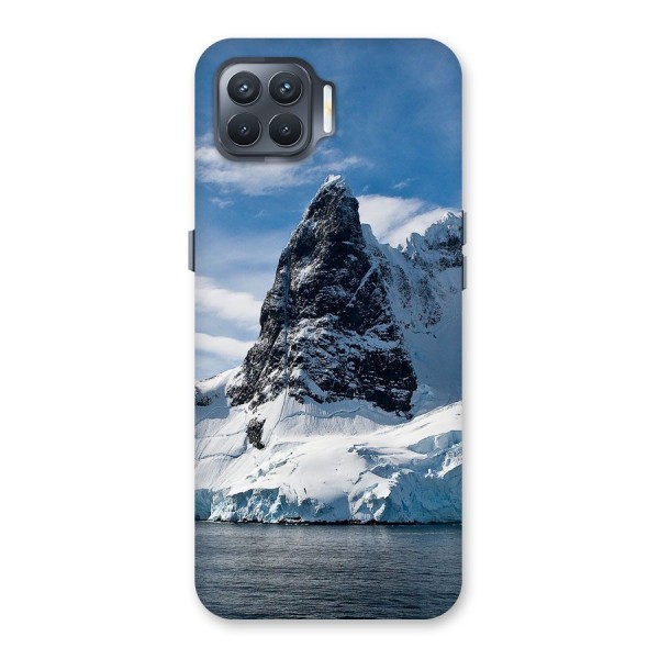 Ice Mountains Back Case for Oppo F17 Pro