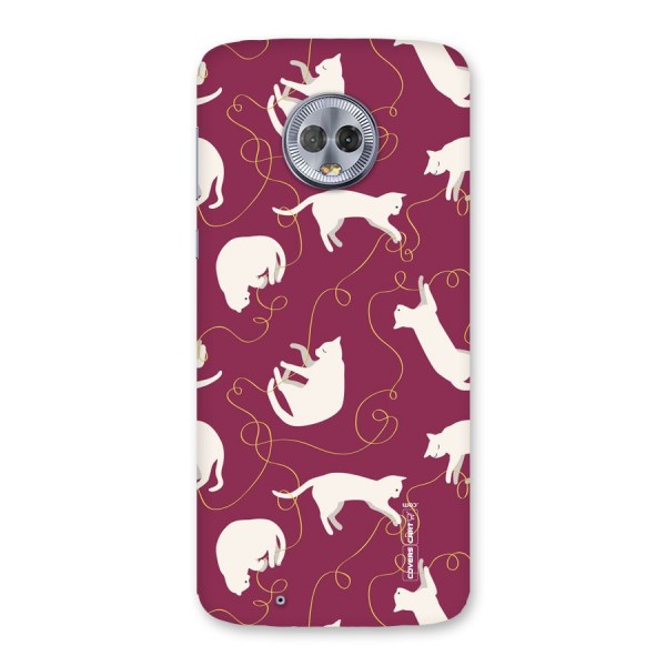 Lazy Kitty Back Case for Moto G6