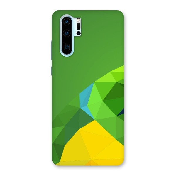 Little Bird Back Case for Huawei P30 Pro