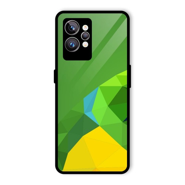 Little Bird Glass Back Case for Realme GT2 Pro