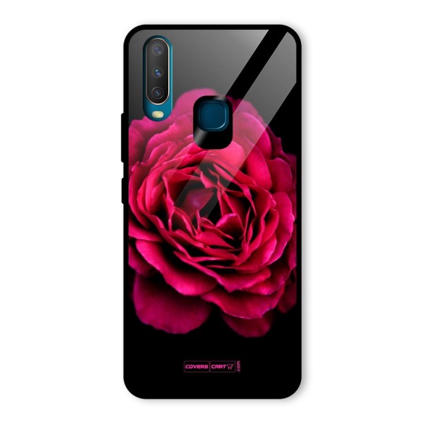 Magical Rose Glass Back Case for Vivo Y12