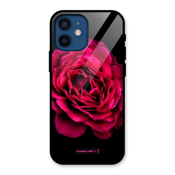 Magical Rose Glass Back Case for iPhone 12 Mini