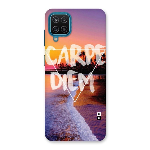 Oceanic Diem Back Case for Galaxy F12