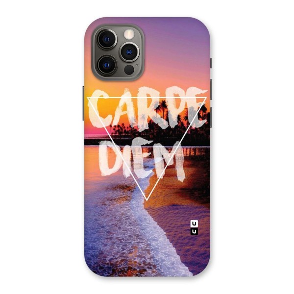 Oceanic Diem Back Case for iPhone 12 Pro