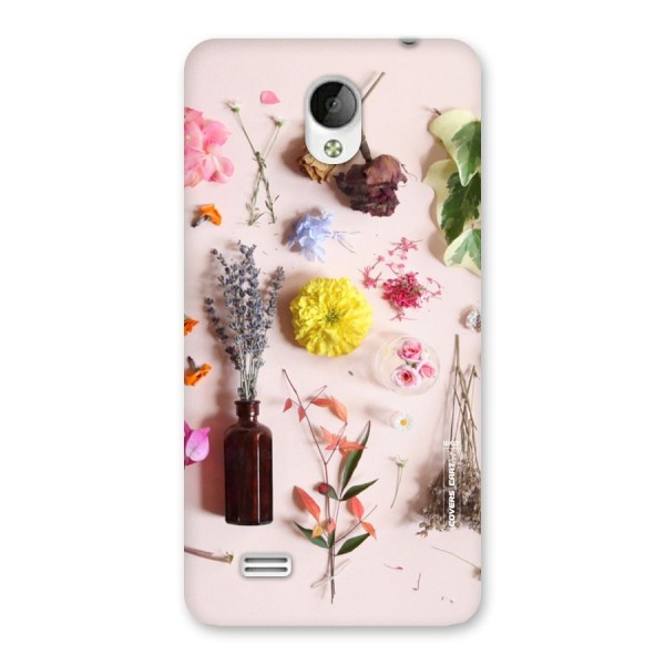 Old Petals Back Case for Vivo Y21