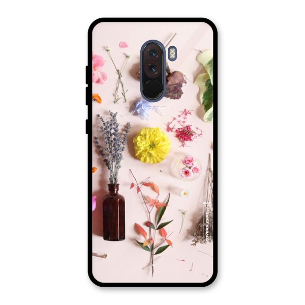 Old Petals Glass Back Case for Poco F1