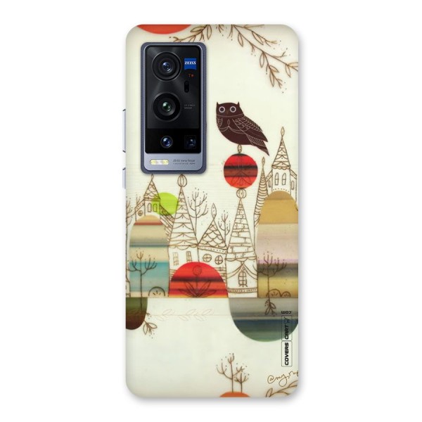 Owl Art Back Case for Vivo X60 Pro Plus