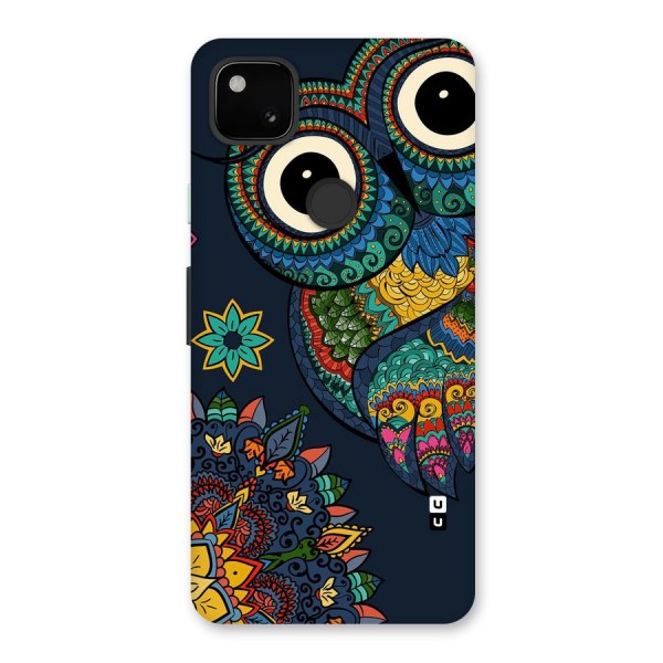 Owl Eyes Back Case for Google Pixel 4a