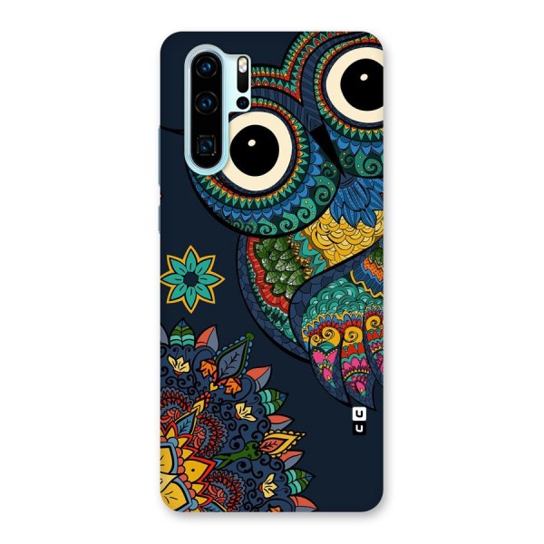 Owl Eyes Back Case for Huawei P30 Pro