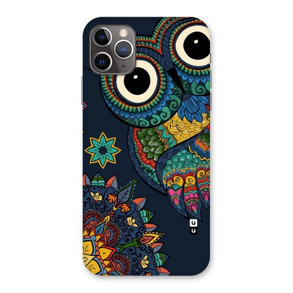 Owl Eyes Back Case for iPhone 11 Pro Max