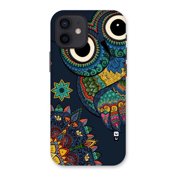 Owl Eyes Back Case for iPhone 12