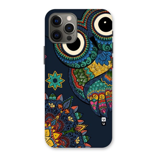 Owl Eyes Back Case for iPhone 12 Pro Max