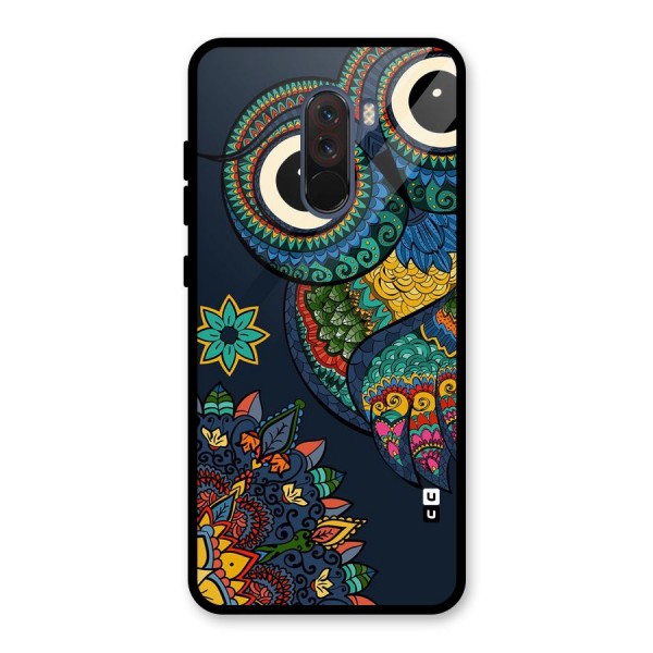 Owl Eyes Glass Back Case for Poco F1