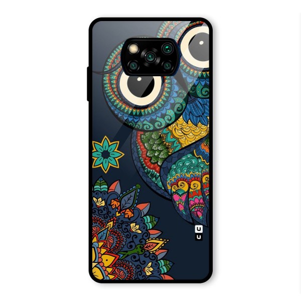 Owl Eyes Glass Back Case for Poco X3 Pro