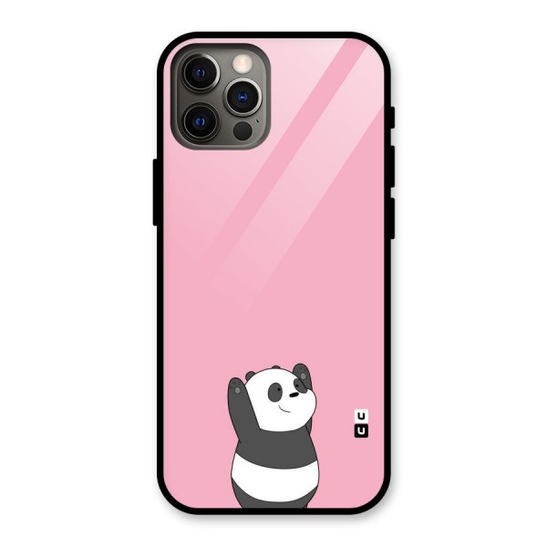 Panda Handsup Glass Back Case for iPhone 12 Pro