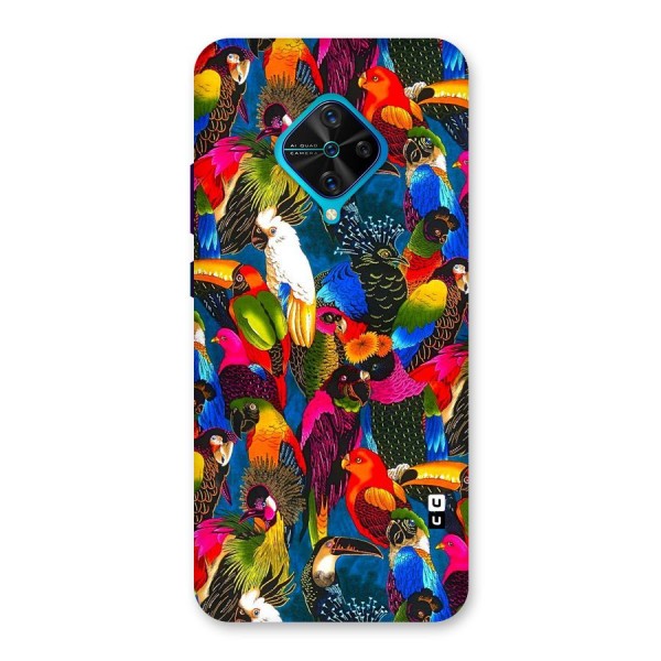 Parrot Art Back Case for Vivo S1 Pro