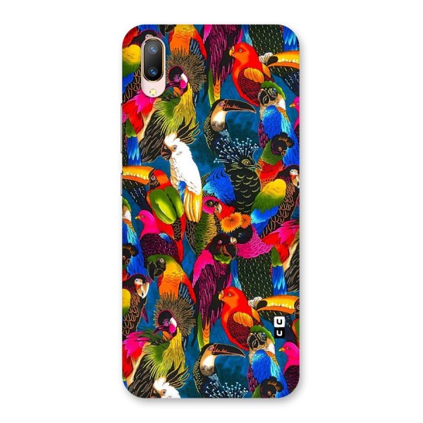 Parrot Art Back Case for Vivo V11 Pro