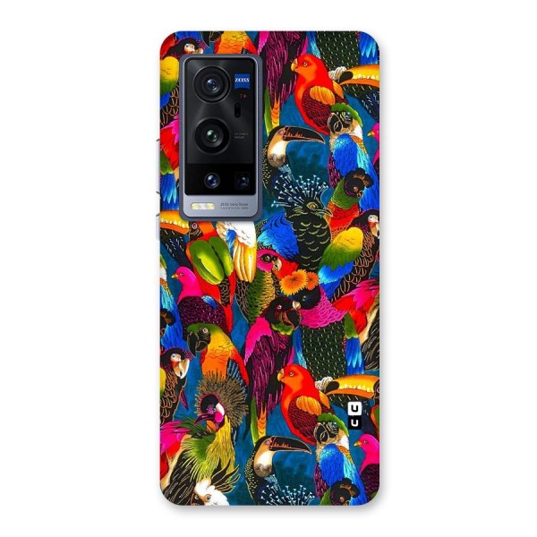 Parrot Art Back Case for Vivo X60 Pro Plus