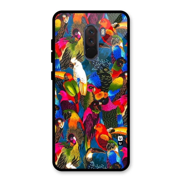 Parrot Art Glass Back Case for Poco F1