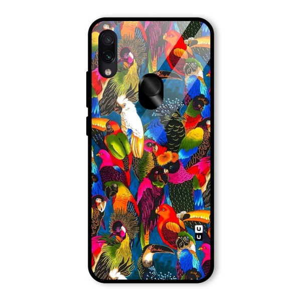 Parrot Art Glass Back Case for Redmi Note 7