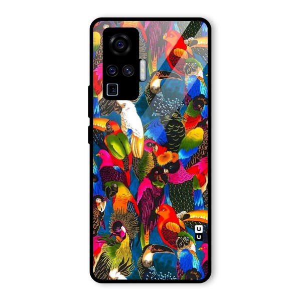 Parrot Art Glass Back Case for Vivo X50 Pro