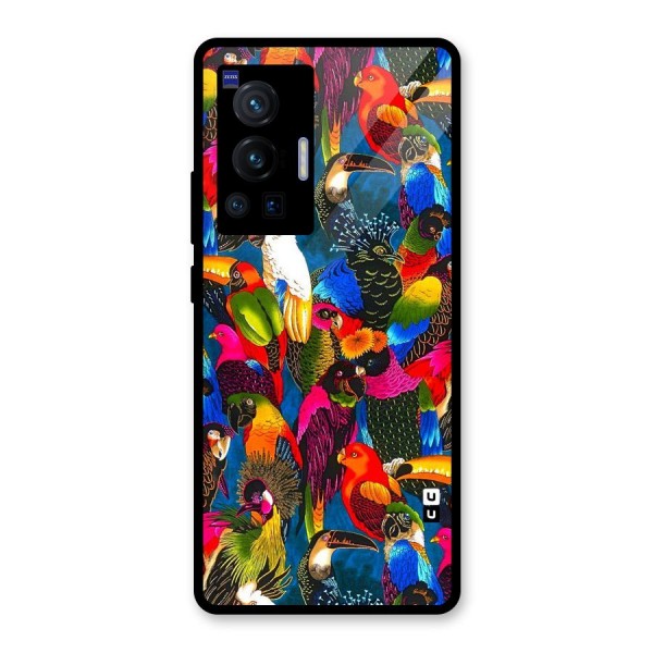 Parrot Art Glass Back Case for Vivo X70 Pro