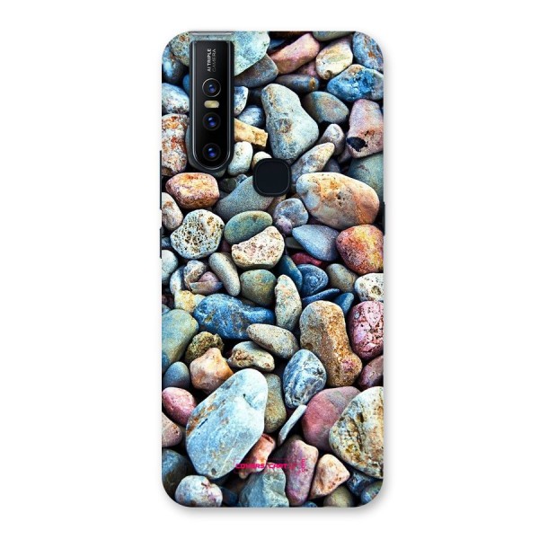 Pebbles Back Case for Vivo V15