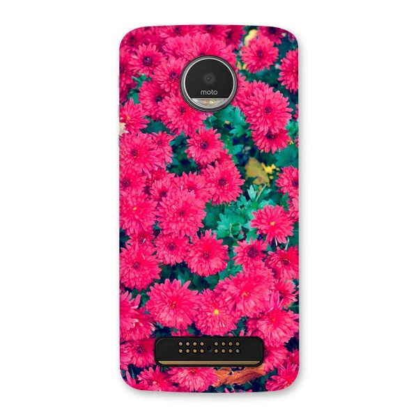 Pink Flowers Back Case for Moto Z Play