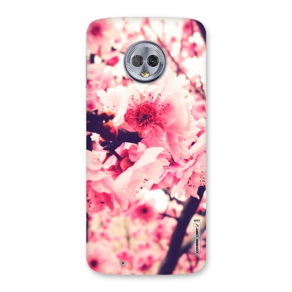 Pretty Pink Flowers Back Case for Moto G6