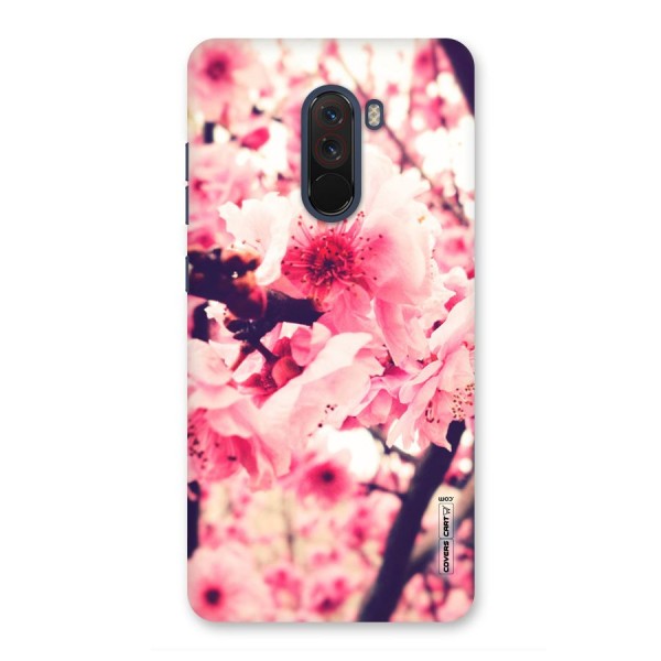 Pretty Pink Flowers Back Case for Poco F1