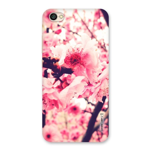 Pretty Pink Flowers Back Case for Redmi Y1 Lite