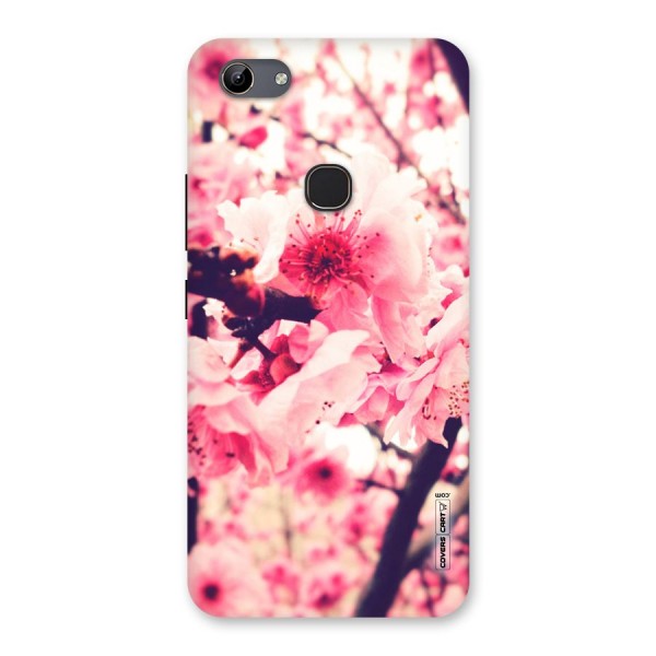 Pretty Pink Flowers Back Case for Vivo Y81