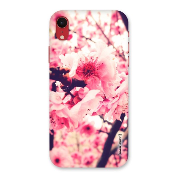 Pretty Pink Flowers Back Case for iPhone XR