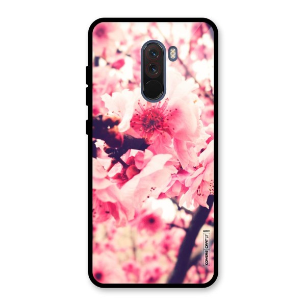 Pretty Pink Flowers Glass Back Case for Poco F1