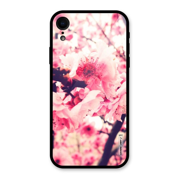 Pretty Pink Flowers Glass Back Case for XR