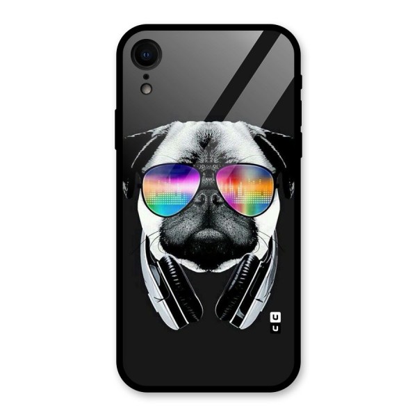 Rainbow Dog Swag Glass Back Case for XR