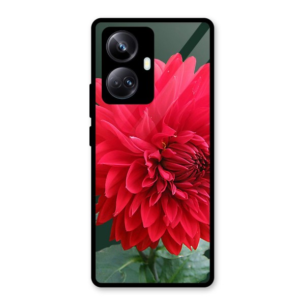 RedFlower. Glass Back Case for Realme 10 Pro Plus