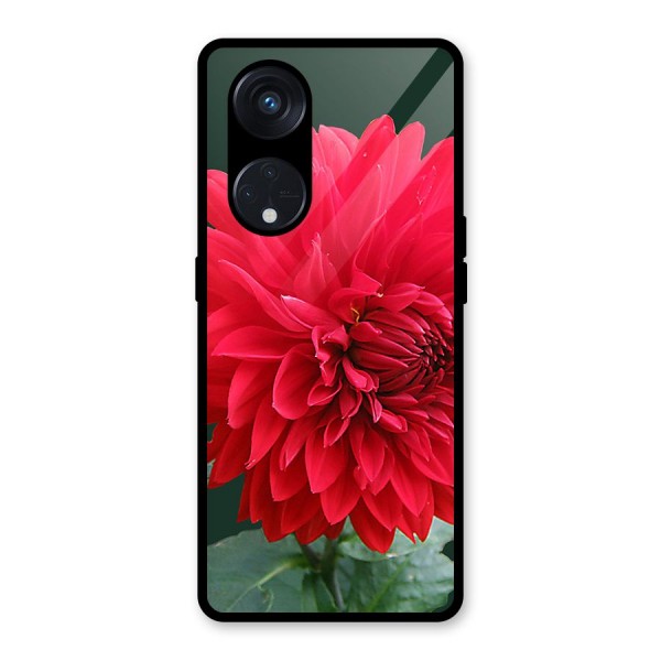 RedFlower. Glass Back Case for Reno8 T 5G