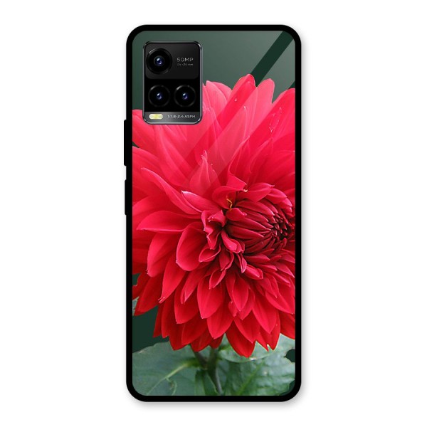 RedFlower. Glass Back Case for Vivo Y21A