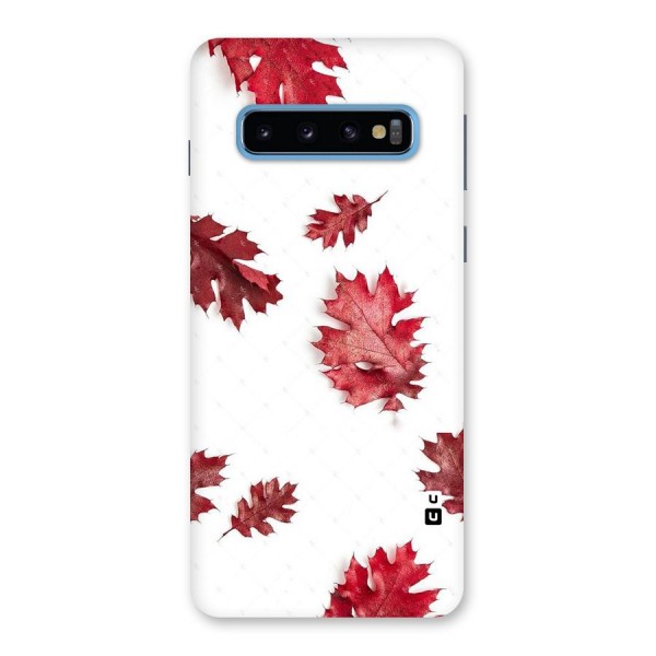 Red Appealing Autumn Leaves Back Case for Galaxy S10