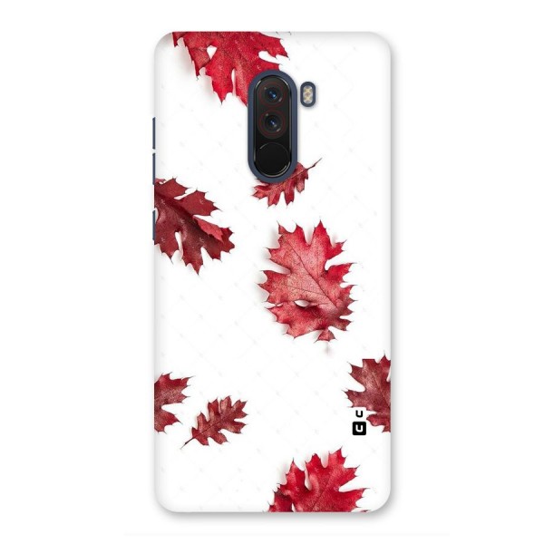 Red Appealing Autumn Leaves Back Case for Poco F1