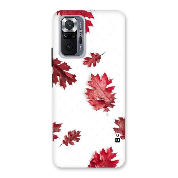 Red Appealing Autumn Leaves Back Case for Redmi Note 10 Pro