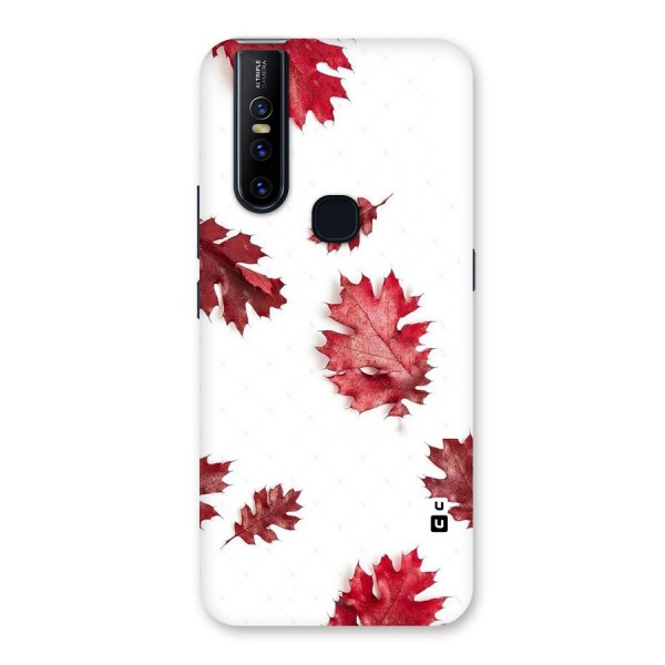 Red Appealing Autumn Leaves Back Case for Vivo V15