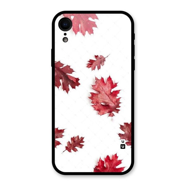 Red Appealing Autumn Leaves Glass Back Case for XR