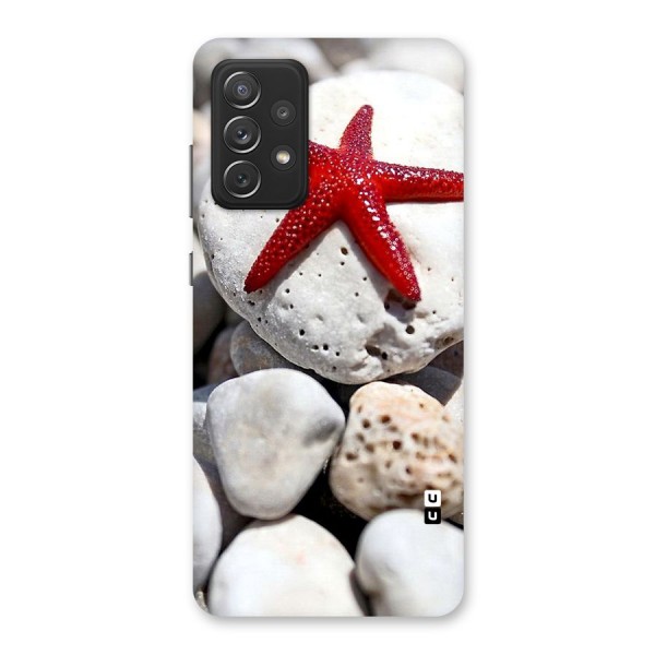 Red Star Fish Back Case for Galaxy A72