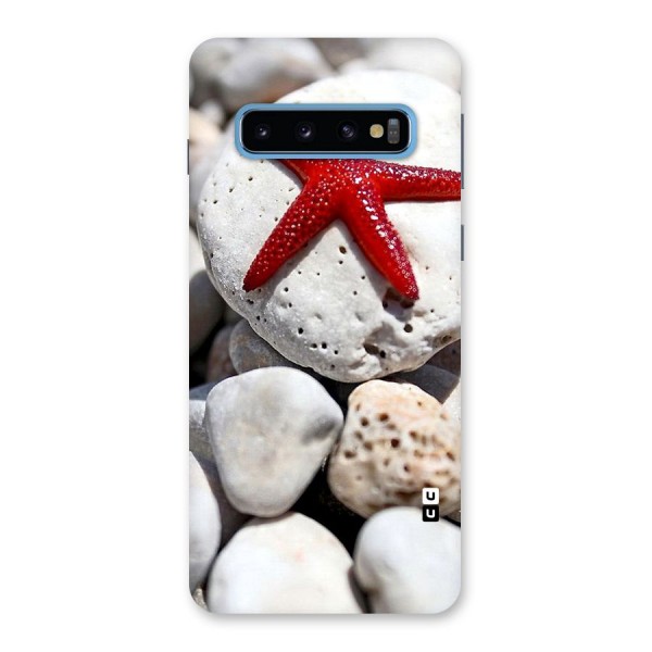 Red Star Fish Back Case for Galaxy S10