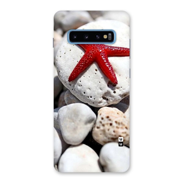 Red Star Fish Back Case for Galaxy S10 Plus